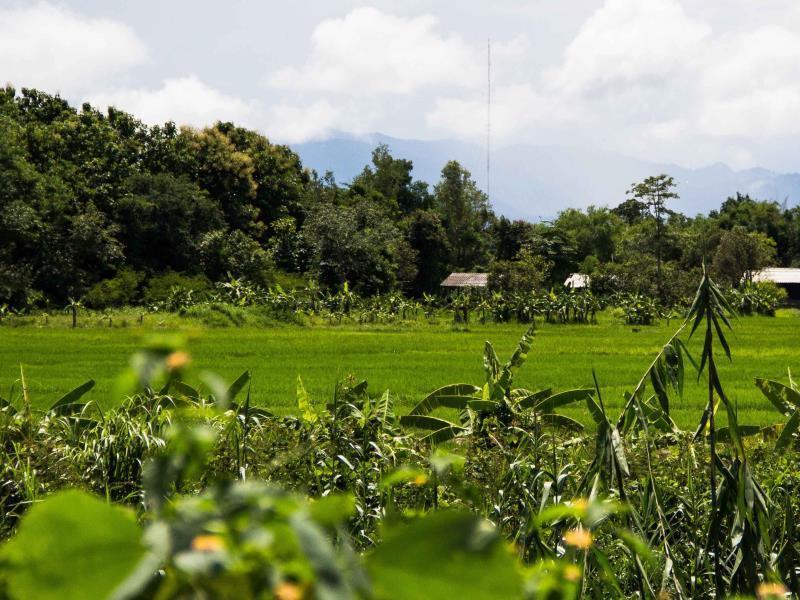 Bambuh Boutique Homestay (Adults Only) Chiang Rai Zewnętrze zdjęcie