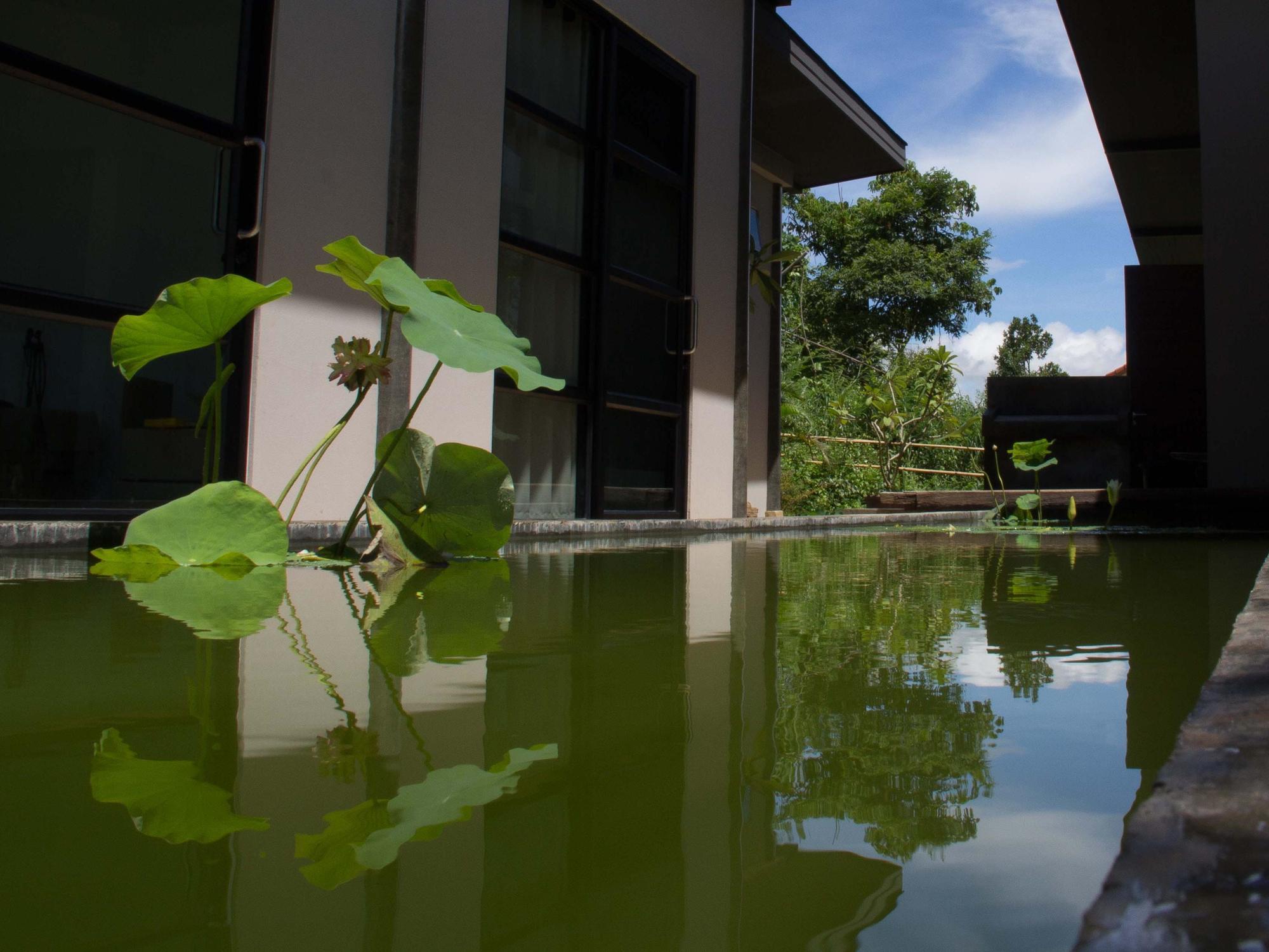 Bambuh Boutique Homestay (Adults Only) Chiang Rai Zewnętrze zdjęcie