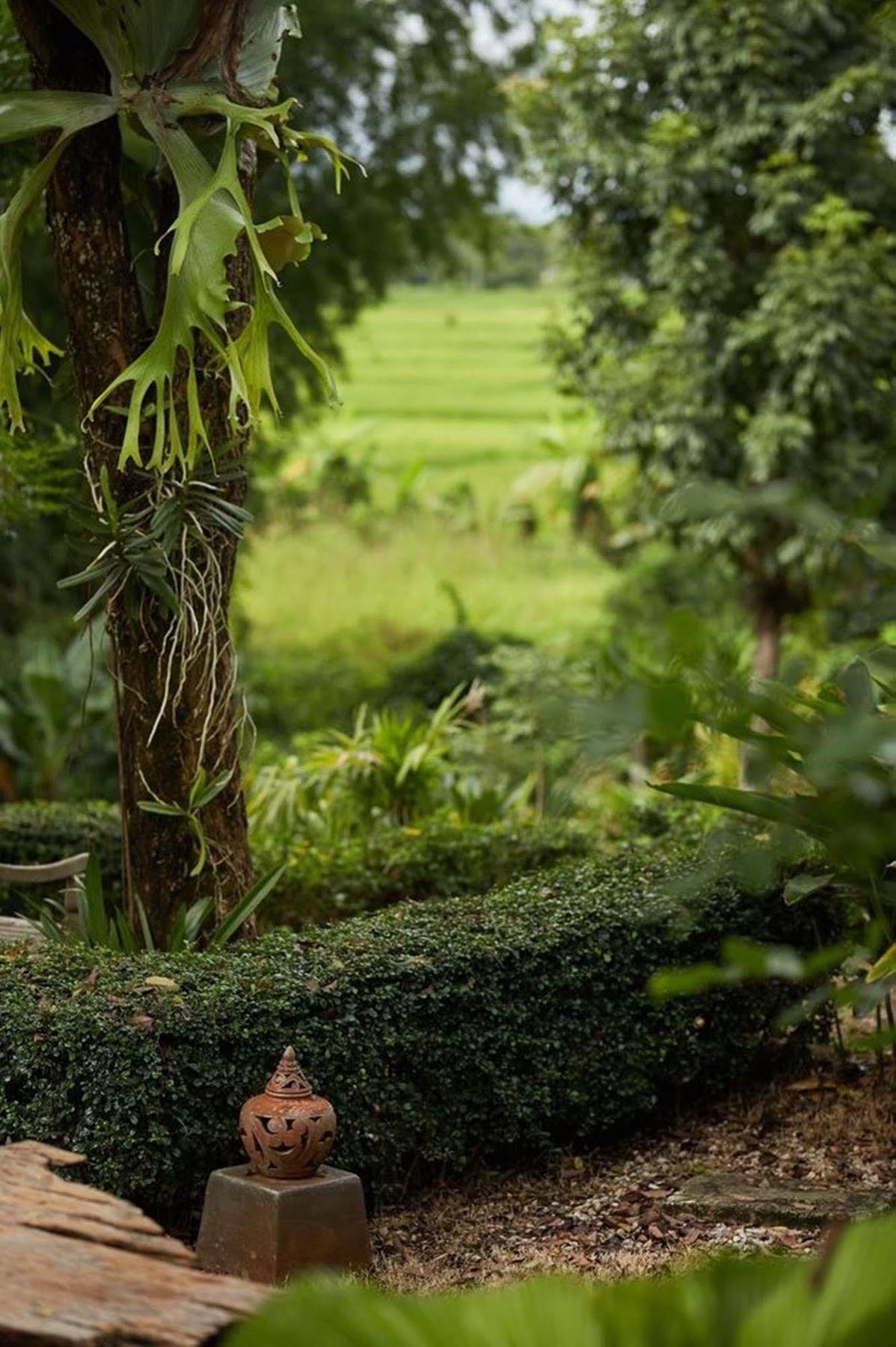 Bambuh Boutique Homestay (Adults Only) Chiang Rai Zewnętrze zdjęcie