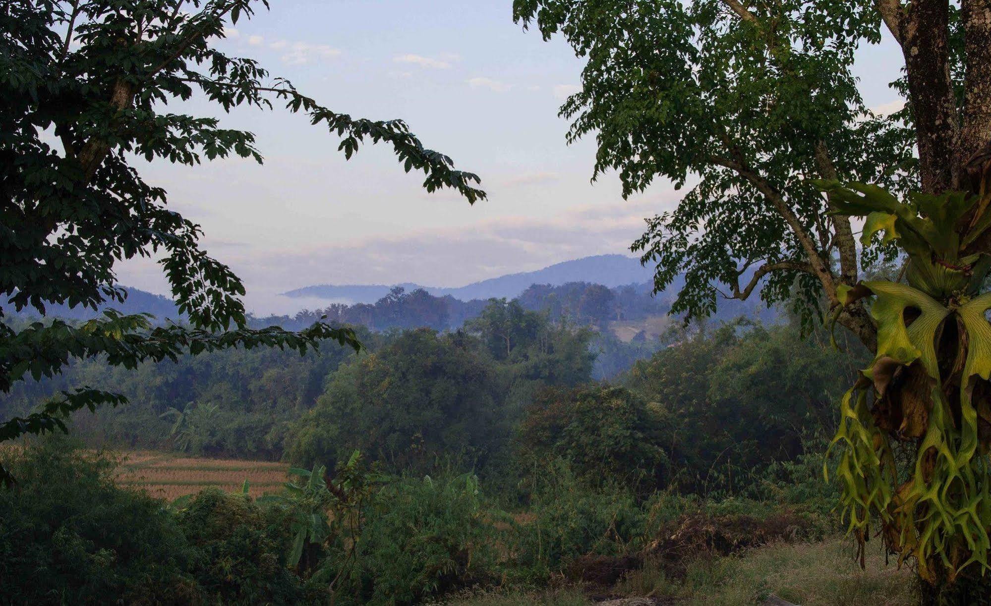 Bambuh Boutique Homestay (Adults Only) Chiang Rai Zewnętrze zdjęcie